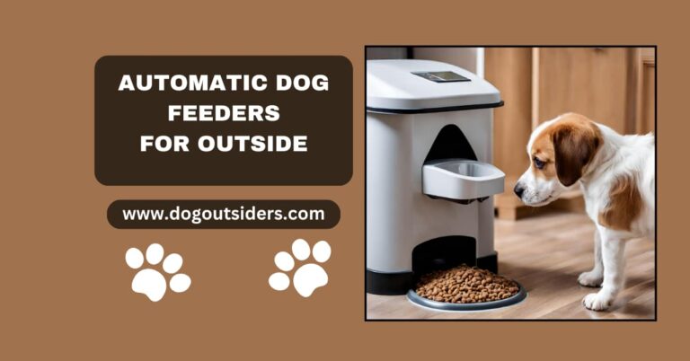 Automatic Dog Feeders for Outside: A Complete Guide