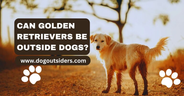 Can Golden Retrievers Be Outside Dogs? Outdoor Living Suitability
