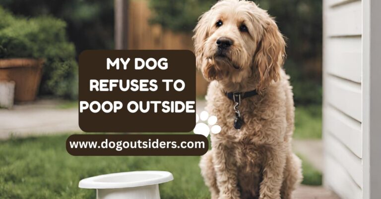 My Dog Refuses to Poop Outside: Understanding and Solutions