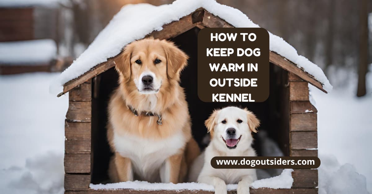 How to Keep Dog Warm in Outside Kennel Top Tips Dog Outsiders