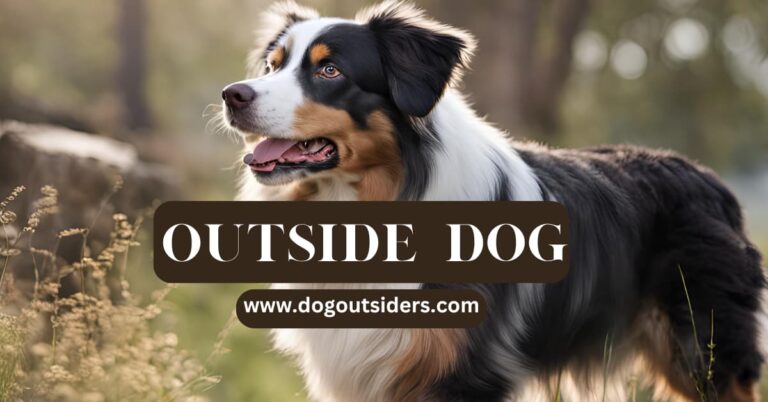 Outside Dog: Top Breeds for Outdoor Living